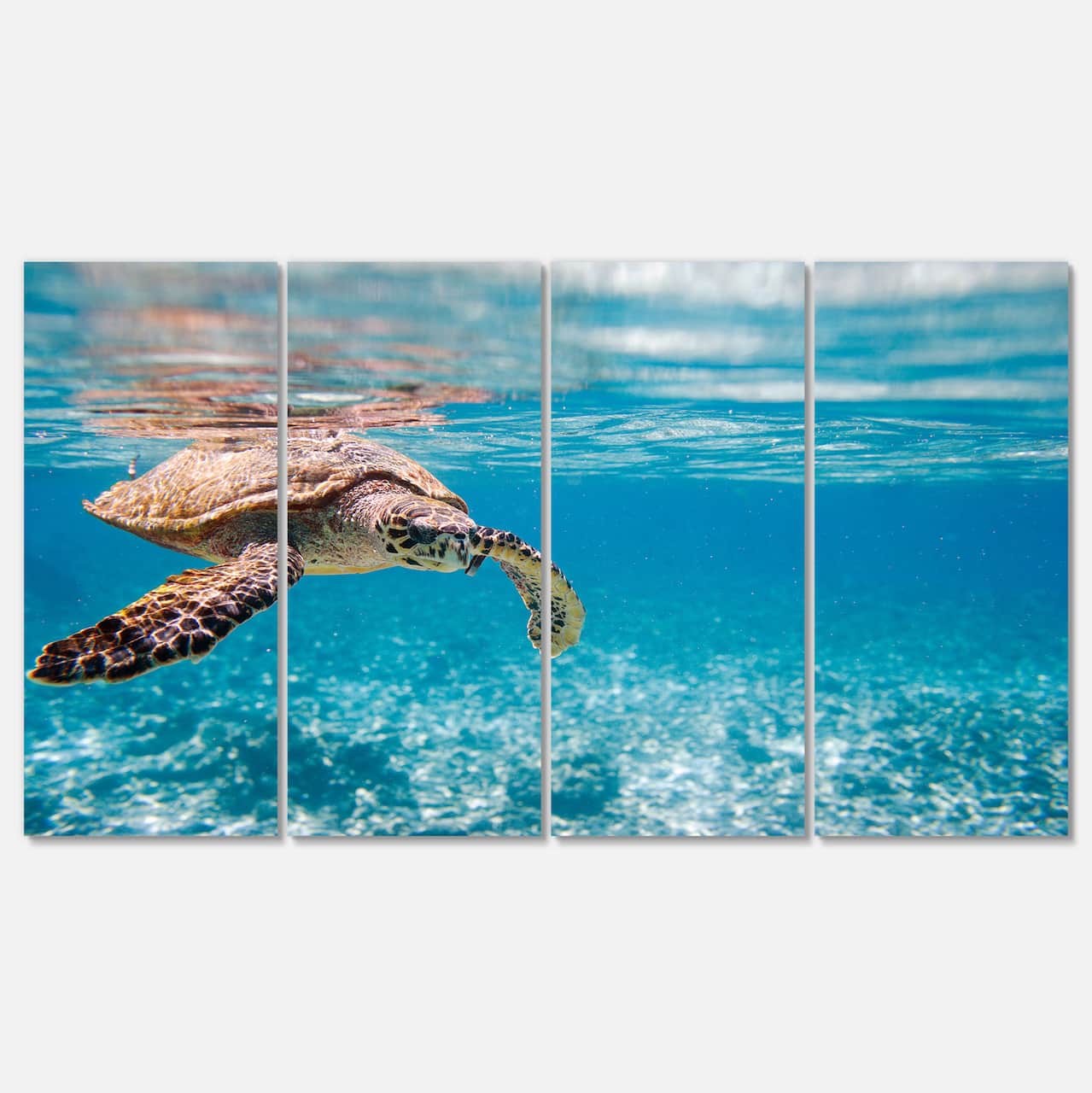 Designart - Large Hawksbill Sea Turtle - Abstract Canvas Art Print